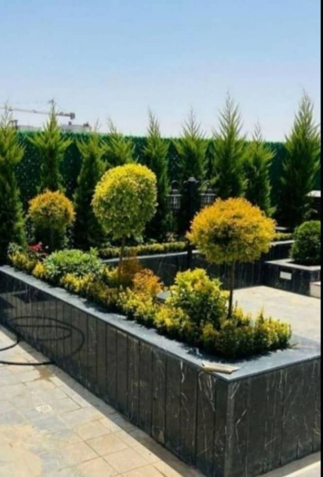 کاشت و فرم‌دهی در بام سبز